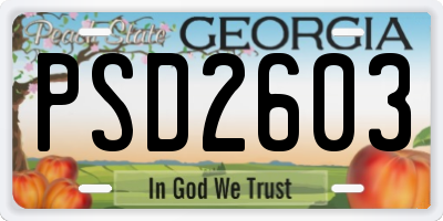 GA license plate PSD2603