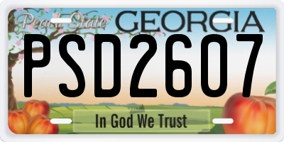 GA license plate PSD2607