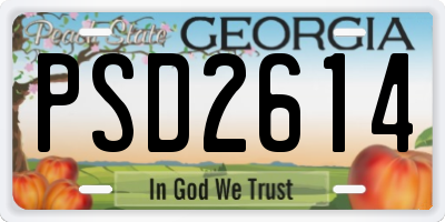 GA license plate PSD2614