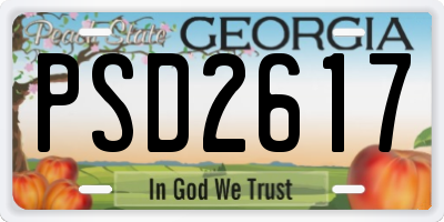 GA license plate PSD2617