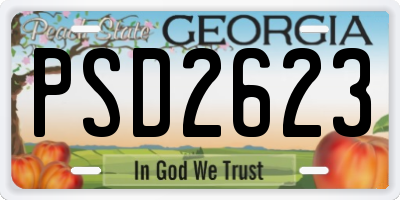 GA license plate PSD2623
