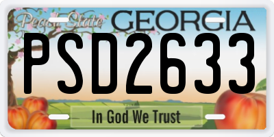 GA license plate PSD2633