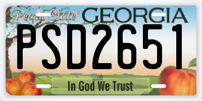 GA license plate PSD2651