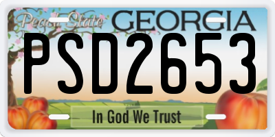 GA license plate PSD2653