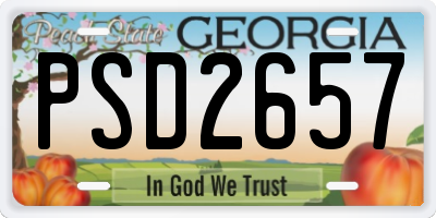 GA license plate PSD2657