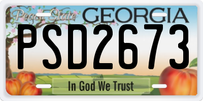 GA license plate PSD2673