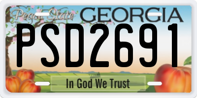 GA license plate PSD2691