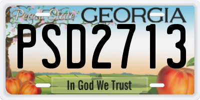 GA license plate PSD2713