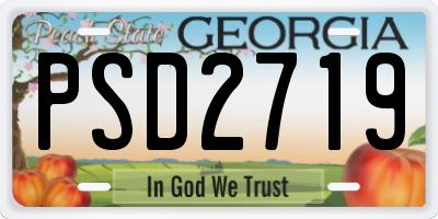 GA license plate PSD2719