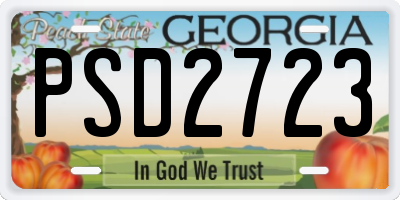 GA license plate PSD2723