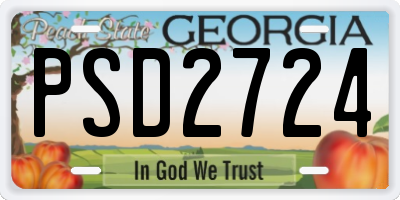 GA license plate PSD2724