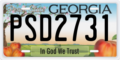 GA license plate PSD2731