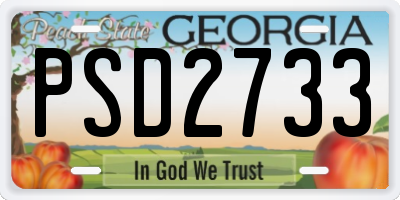 GA license plate PSD2733