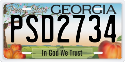 GA license plate PSD2734