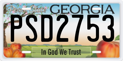 GA license plate PSD2753