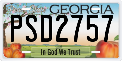 GA license plate PSD2757