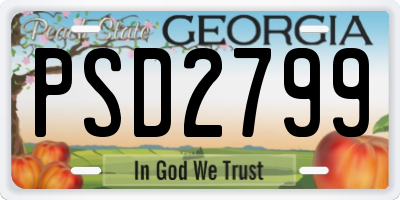GA license plate PSD2799