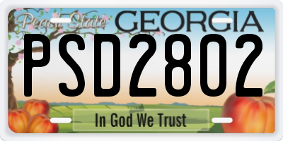 GA license plate PSD2802