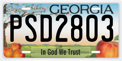 GA license plate PSD2803
