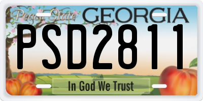 GA license plate PSD2811