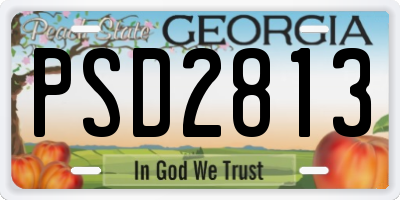 GA license plate PSD2813