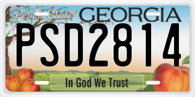 GA license plate PSD2814