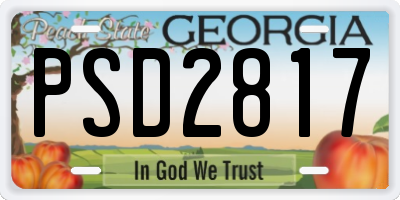 GA license plate PSD2817