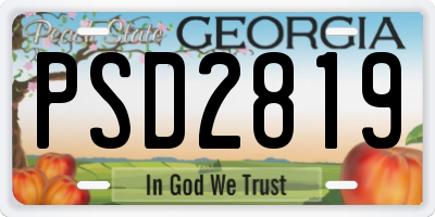 GA license plate PSD2819