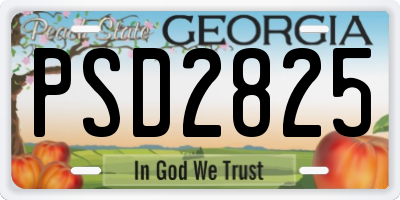 GA license plate PSD2825