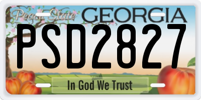 GA license plate PSD2827