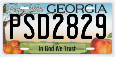 GA license plate PSD2829