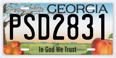 GA license plate PSD2831