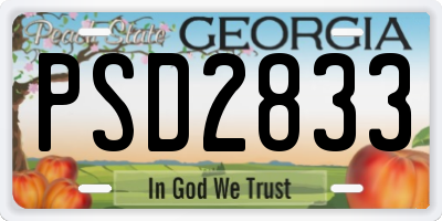 GA license plate PSD2833