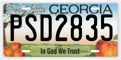 GA license plate PSD2835