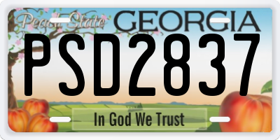 GA license plate PSD2837