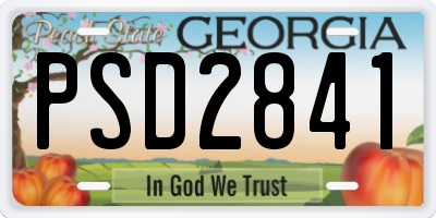 GA license plate PSD2841