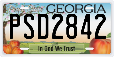 GA license plate PSD2842