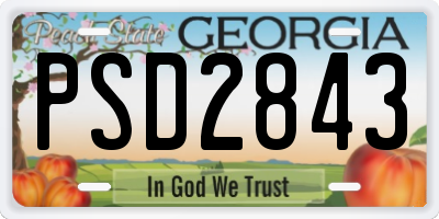 GA license plate PSD2843