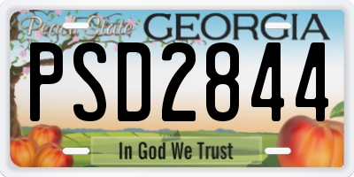 GA license plate PSD2844