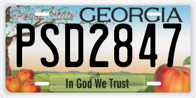 GA license plate PSD2847