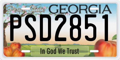 GA license plate PSD2851