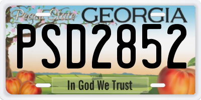 GA license plate PSD2852