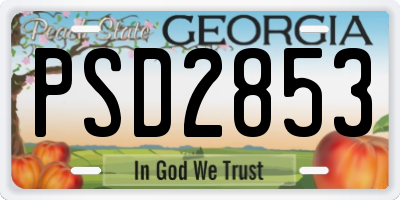 GA license plate PSD2853
