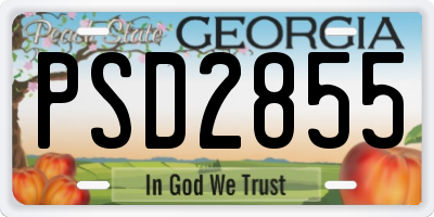 GA license plate PSD2855