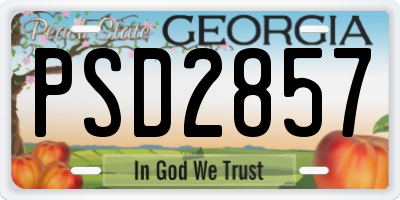 GA license plate PSD2857