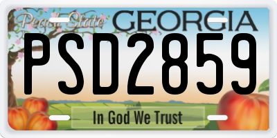 GA license plate PSD2859