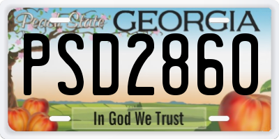 GA license plate PSD2860