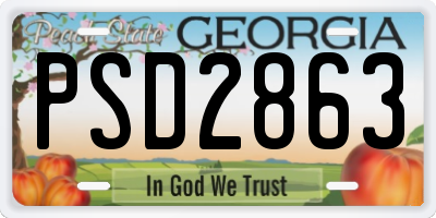 GA license plate PSD2863