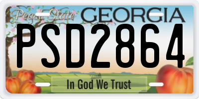 GA license plate PSD2864