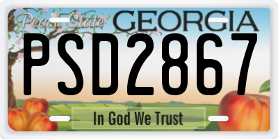 GA license plate PSD2867